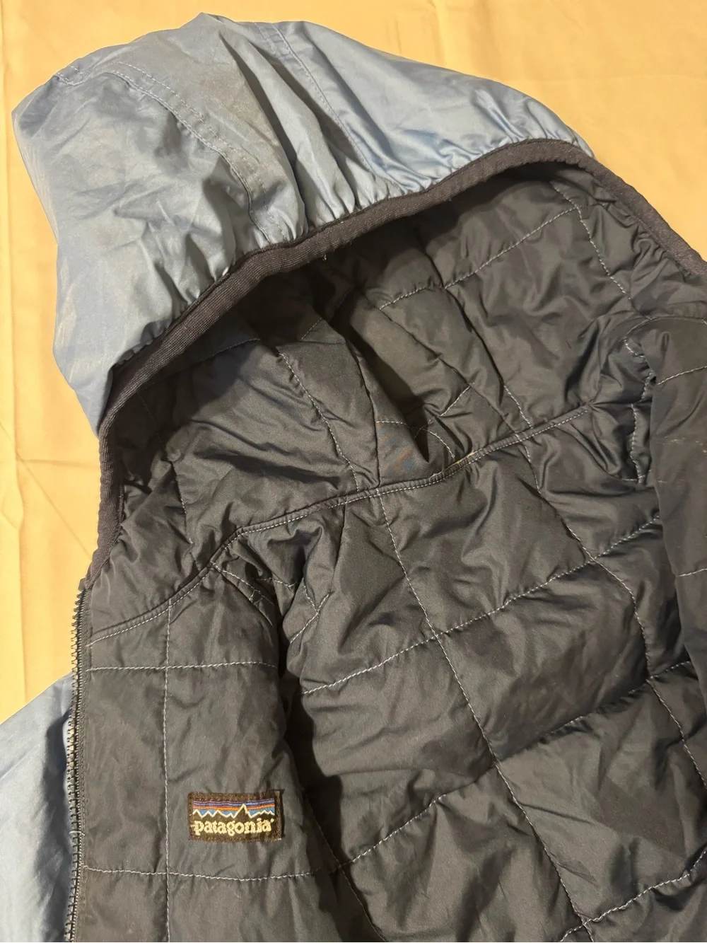 Patagonia light blue